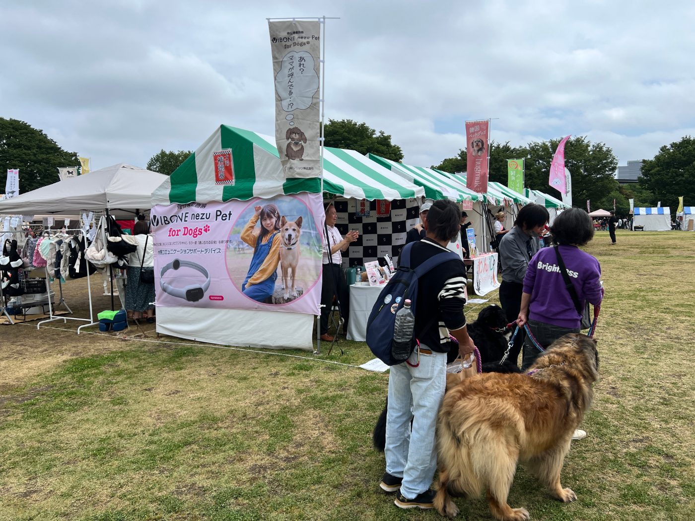 イベント会場のお試し会ブース。愛犬を連れた方がスタッフの説明を聞いています